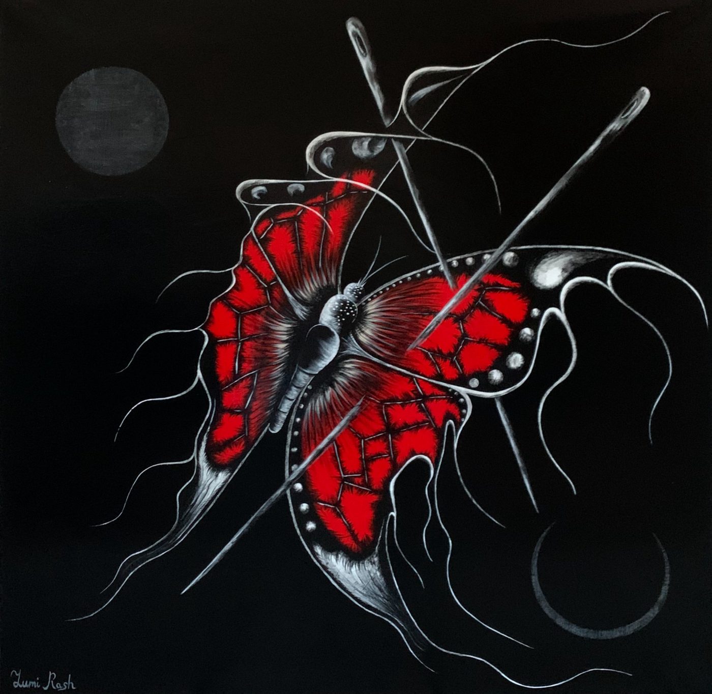 Papillon – Zumi Rash